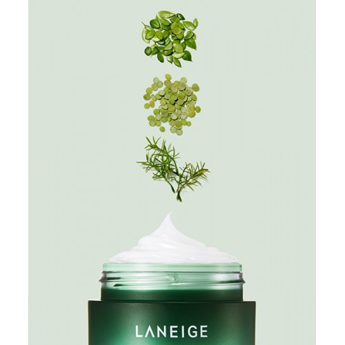 LANEIGE Cica Sleeping Mask 60ml